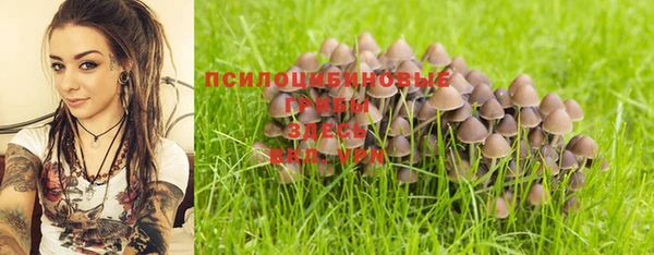 каннабис Абаза