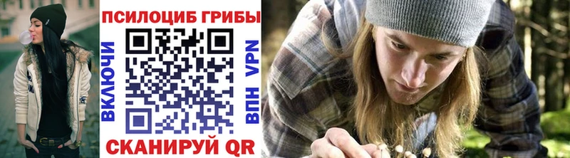 Псилоцибиновые грибы Psilocybe  купить   сайты даркнета клад  Княгинино 